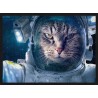 Topný obraz - Kočičí kosmonaut