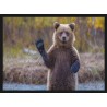 Topný obraz - Medvěd