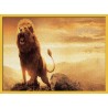 Topný obraz - Lví řev