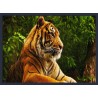 Topný obraz - Tygr