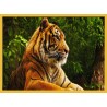 Topný obraz - Tygr