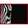 Topný obraz - Zebra ve tmě