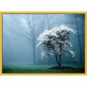 Topný obraz - Bílý strom