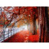 Topný obraz - Červený podzim