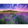 Topný obraz - Provence