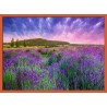 Topný obraz - Provence