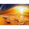 Topný obraz - západ slunce na pláži