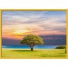 Topný obraz - Osamělý strom